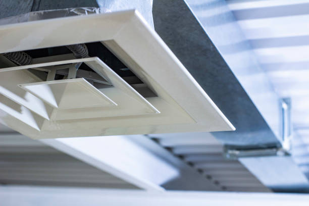 Best Affordable Duct Cleaning Services  in New Port Richey, FL