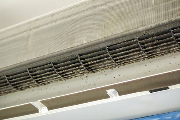 Best Ventilation Cleaning Services  in New Port Richey, FL